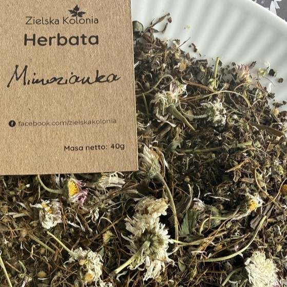 Zioła i Herbaty z Podlasia i Suwalszczyzny: Mimozianka. Producent: Zielska Kolonia (Puszcza Knyszyńska) - obrazek 3