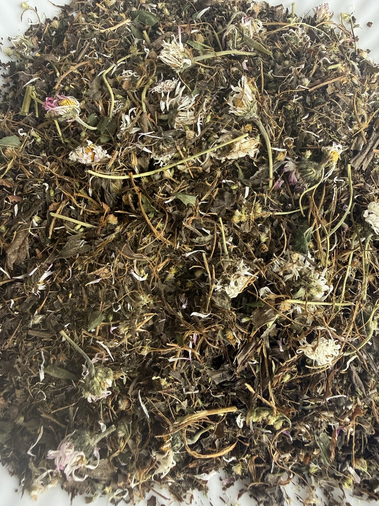 Zioła i Herbaty z Podlasia i Suwalszczyzny: Mimozianka. Producent: Zielska Kolonia (Puszcza Knyszyńska) - obrazek 6