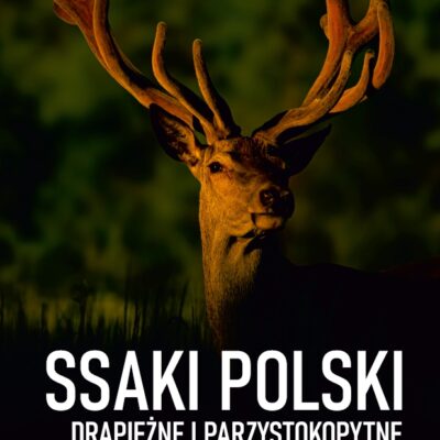 Książki Innych Wydawnictw: Rafał Kowalczyk, Marta Kołodziej-Sobocińska, Jan M. Wójcik (red.), Ssaki Polski. Drapieżne i parzystokopytne